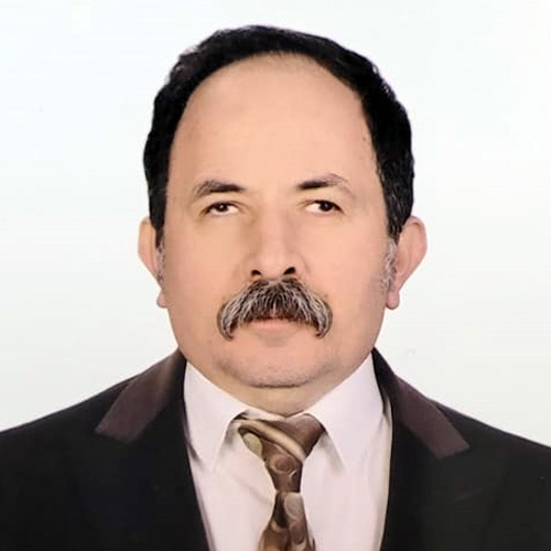 Erol Sayyıdan